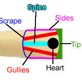 Oboe Reed Guide.pdf How to Adjust Oboe Reeds - PDF Download — Crook and Staple
